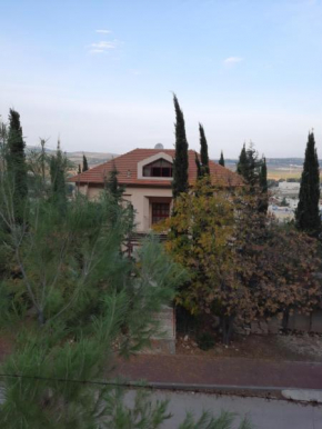 Отель Gilboa Guest House - Benharim  Gidona